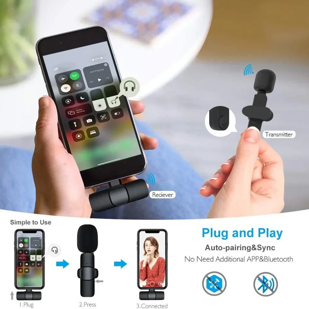 Wireless  Microphone Portable